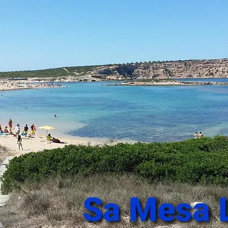 Summer House شقة *