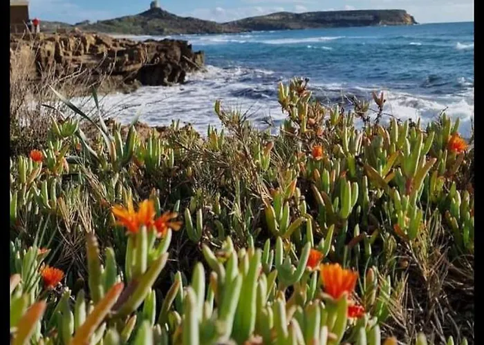 Summer House Apartman Torre Grande